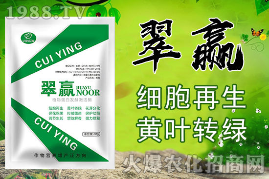 蘋(píng)果園排澇