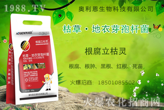 �������~