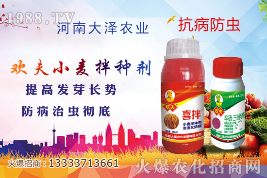 小麥拌種劑常見劑型有哪些?如何選擇小麥拌種劑?