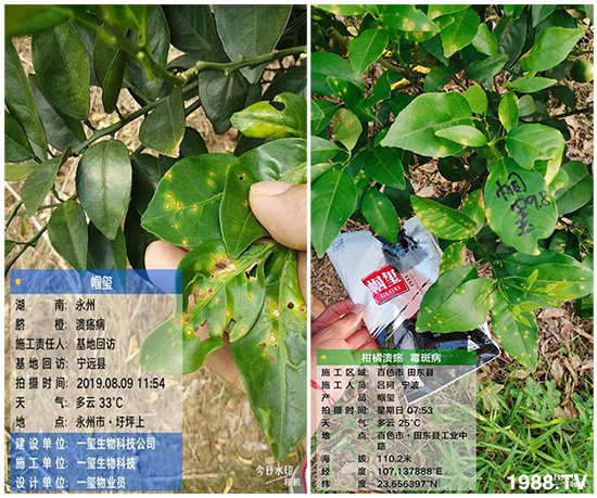 好產(chǎn)品好作用,“一璽生物”微生物菌劑“幗璽”客戶真實(shí)反饋!