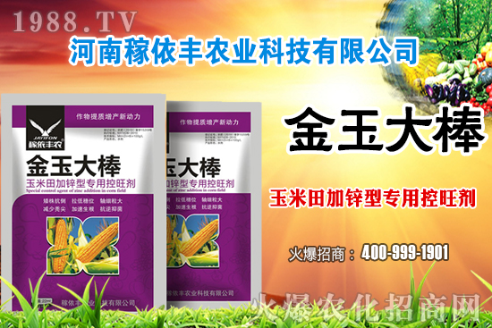 玉米施肥尿素和復(fù)合肥哪個(gè)好？玉米施肥注意事項(xiàng)有哪些？