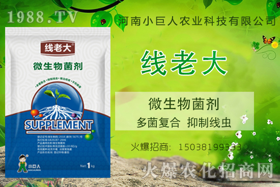 ���Y(ji��)���x(ch��ng)զ���������Y(ji��)���x(ch��ng)����-�����ϴ󡱶����(f��)�ϡ����ƾ��x(ch��ng)��