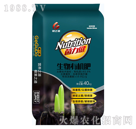 Ҫ�����������ϵ����Ҫ���۹��֮����ô��������Щ����a(ch��n)Ʒ��