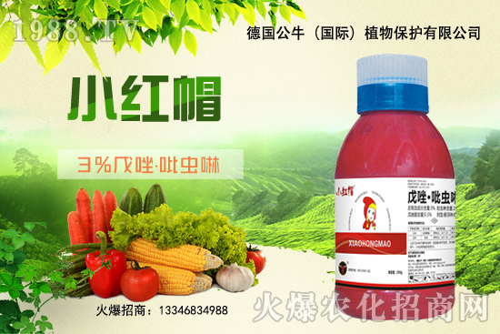 С����N�����a��С����N����x����С����NƷ���x����