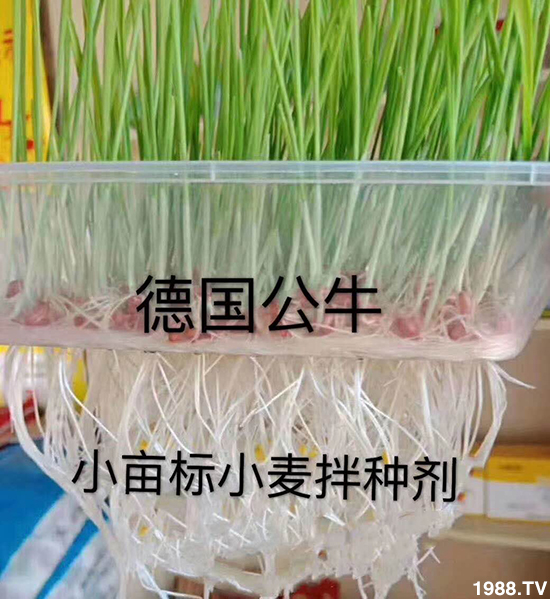 С����N�����a��С����N������x����С����N��Ʒ���x����