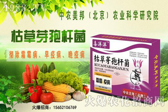 �ݲ�ѿ�ߗU���θ������ᣬ������Щ�������������Ό�������Щ��