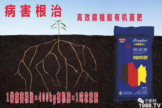     ���׌�Nֲ׃�ø��p����һ���ײͣ�ȫ���䷽����˹�ش󽪠I�B(y��ng)�ײͷ�����