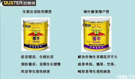     ���׌�Nֲ׃�ø��p����һ���ײͣ�ȫ���䷽����˹�ش󽪠I�B(y��ng)�ײͷ�����