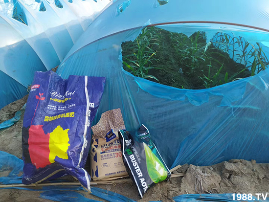     ���׌�Nֲ׃�ø��p����һ���ײ���ȫ���䷽����˹�ش󽪠I�B(y��ng)�ײͷ�����