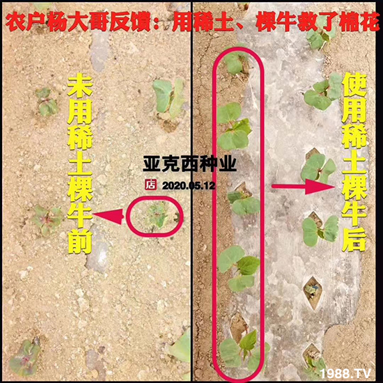     ���׌�Nֲ׃�ø��p�ɣ�һ���ײ���ȫ���䷽����˹�ش󽪠I�B(y��ng)�ײͷ�����