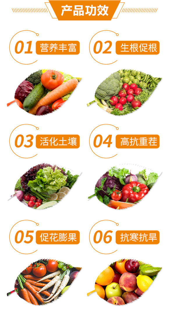 促花型含腐殖酸水溶肥料-漯康壯-綠田地_03