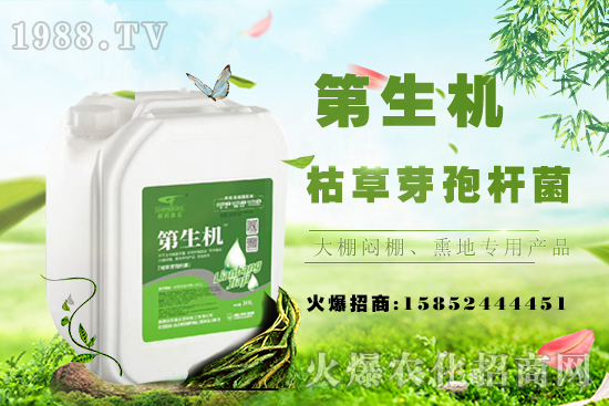 豆角只長蔓不開花啥原因?如何促花促莢提產量?