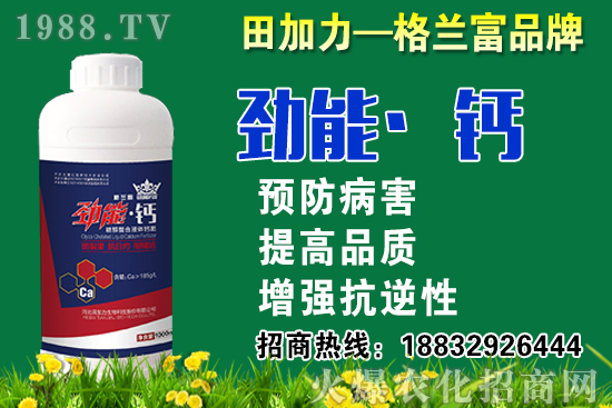 2020���}��ʲô�r��N�����}���NֲҪע����Щ���}��