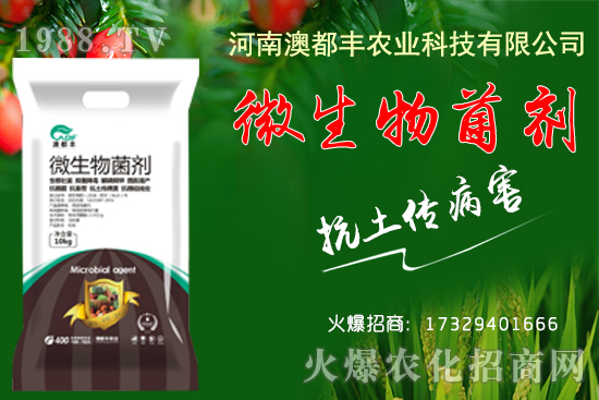 玉米穗期發(fā)育特點有哪些?玉米穗期田間管理要點!