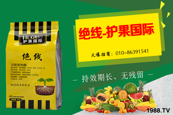 �޻���ʲôҪ����أ�����Щ��̎���޻�������g�������h��