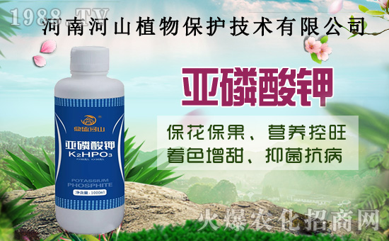 С�����߼Ӵa�������u�Z��2020��8��14��С���r(ji��)��������