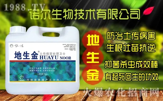 �S���˷N����ô�ɼ����S���˷N��r������Xһ����