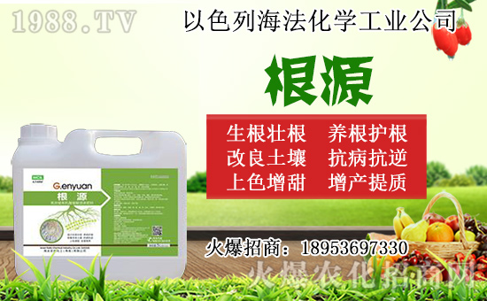 �o������ôǤ�����o����Ǥ��r�g��Ǥ�己ֳ������