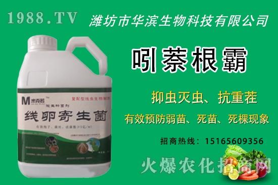 �o�����NֲʲôƷ�N�^�����o����Ƥ���ԳԆ����Nֲǰ��������