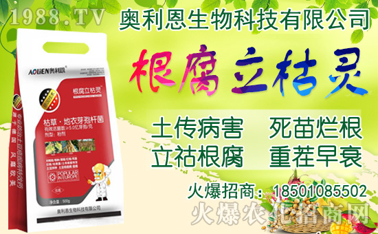 ���[���ʩ�ʣ����[�Nֲ���������N�r�g��