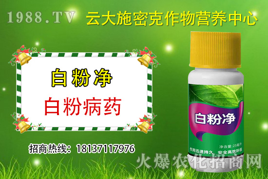 ʲô��ֲ��Դ�r(n��ng)ˎ��ֲ��Դ�r(n��ng)ˎ�c���W(xu��)�r(n��ng)ˎ�^(q��)�e������