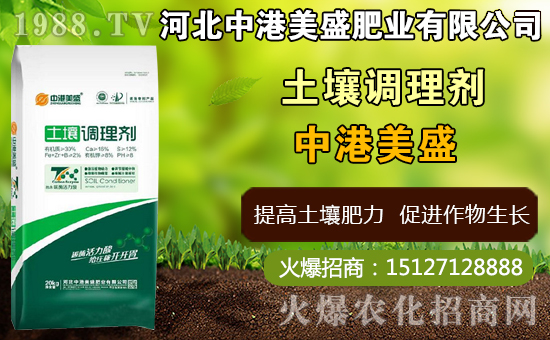 ��ˎ̫�Ӆ�ʲô�r�g�Nֲ��̫�Ӆ�ʲô�r���ի@���ã����Nֲ���g(sh��)��