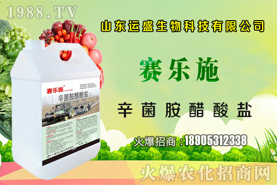 大棚杏樹(shù)的授粉方法,大棚杏樹(shù)如何多坐果?