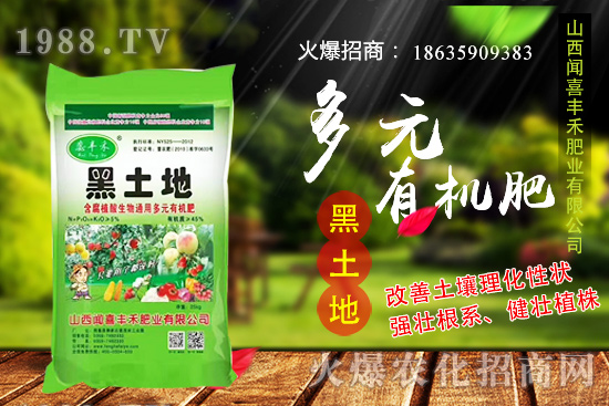 生姜如何選種,生姜什么時(shí)候種植?種植前需注意哪些問(wèn)題?