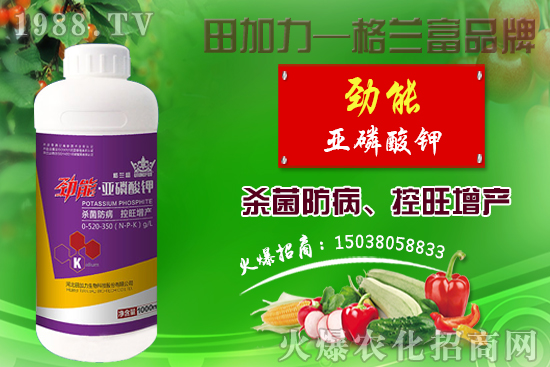 棉花如何做到合理施肥?棉花需肥特性及施肥原則!