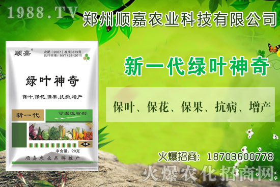 小麥價(jià)格連連上漲!現(xiàn)在一斤多少錢?