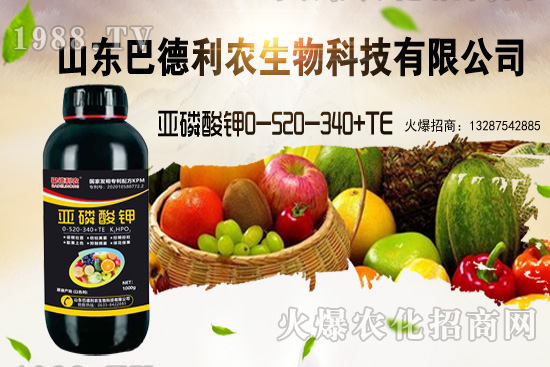 С���r(ji��)���ܝq�������Xһ�������ֵ؅^(q��)�r(ji��)��������