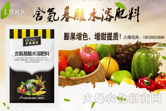 �|���m����ʲô����(ji��)�������|������M�зNֲ��