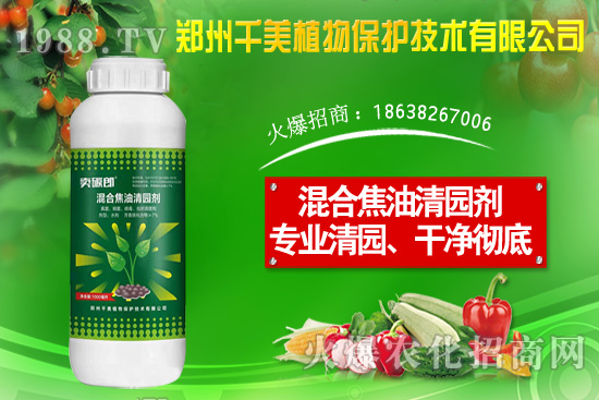 ���X�ݷN����ô�N�����X�ݷNֲ������B��