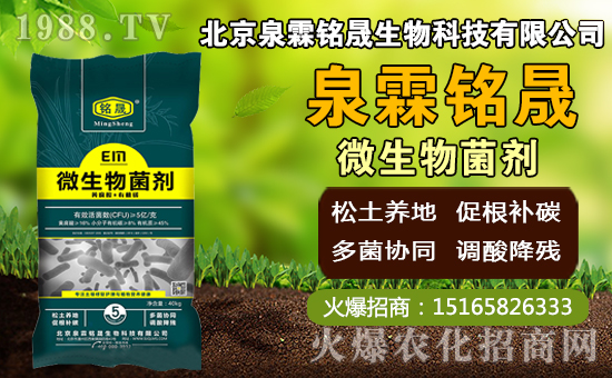 â��ʲô�r�g�Nֲ��â���Nֲ��������ˮ�r�ڣ�