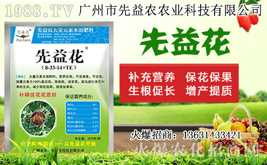 水仙花形態(tài)特征及生長習(xí)性,水仙花栽培方法!