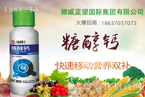 柑橘壯果肥如何施，柑橘壯果期施肥與管理！