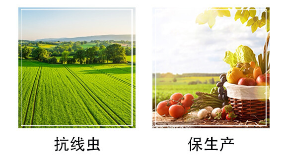 50L育苗基質-沃爾優(yōu)_05