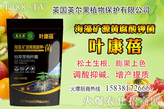 ��ô�Д����׺�ˮ��������������ˮ���й��ж���(j��ng)���