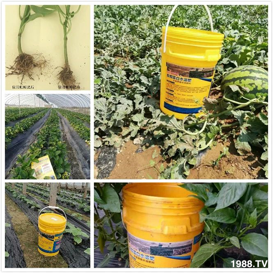 ˮ�ܷ��Ј�(ch��ng)��׃��������徫���~(y��)���׌�����������1000���Ñ�(h��)�������]��