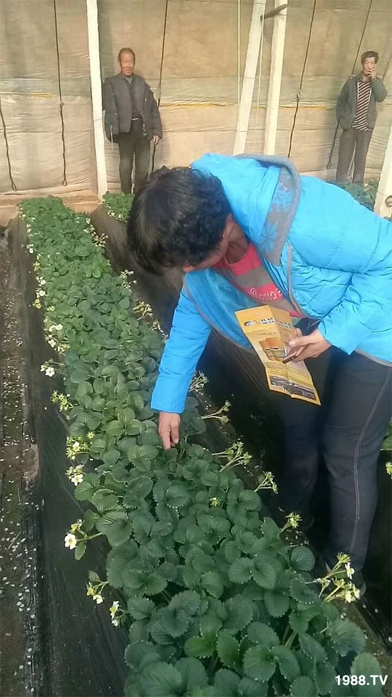 ˮ�ܷ��Ј�(ch��ng)��׃��������徫���~(y��)���׌�����������1000���Ñ�(h��)�������]��