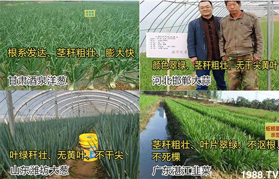 ˮ�ܷ��Ј�(ch��ng)��׃��������徫���~(y��)���׌�����������1000���Ñ�(h��)�������]��