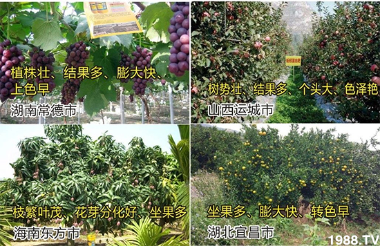 ˮ�ܷ��Ј�(ch��ng)��׃������徫���~(y��)���׌�����������1000���Ñ�(h��)�������]��