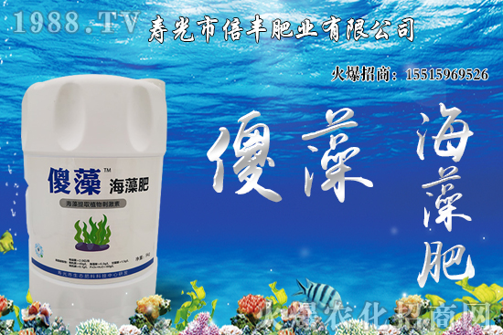 �Ј�(ch��ng)�𲽻ؚw���������棬�󶹃r(ji��)��_�߻�����