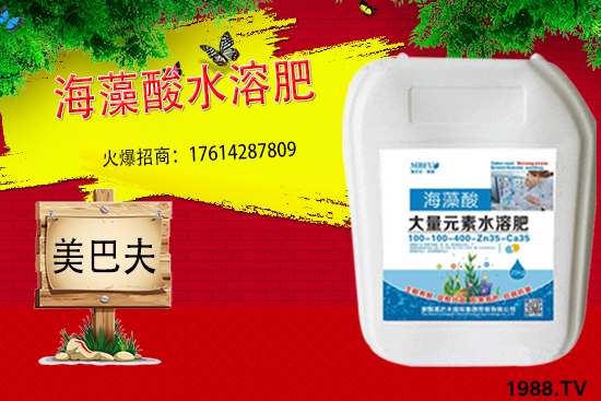 海藻肥具有哪些作用?與傳統(tǒng)肥料相比有何優(yōu)勢(shì)?