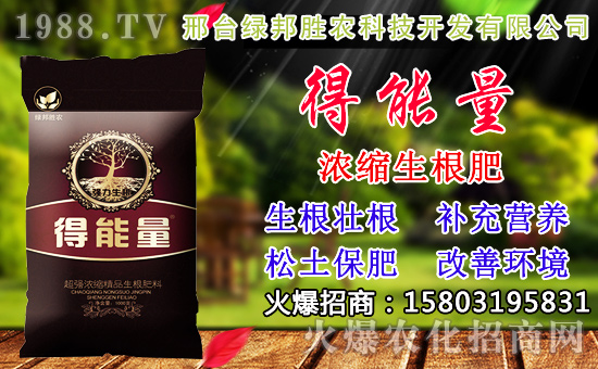 2020��С���N������x���߮aС��Ʒ�N����Щ��