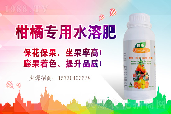 草莓的生長習性有哪些?早春大棚草莓管理技術(shù)要點!