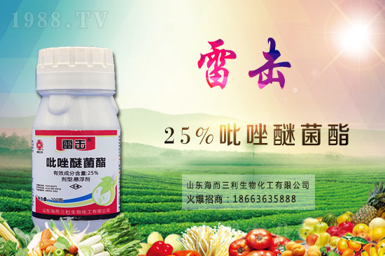 2021.2.24���h(hu��n)���r(n��ng)ˎ�r(ji��)��S�̈�(b��o)�r(ji��)