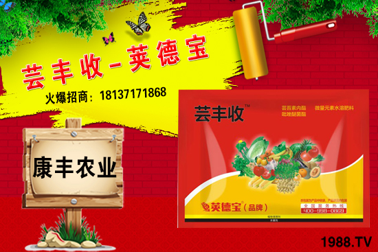 冬季要不要給小麥澆越冬水？小麥冬灌什么時候合適？