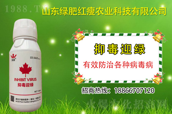 ���β�������Ҳ���ðΣ����ֶ�ӭ�G�����β�������