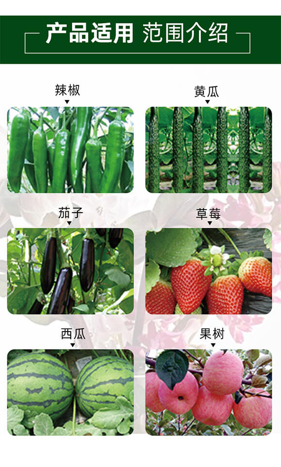 純營(yíng)養(yǎng)生長(zhǎng)平衡劑-喜妞-佳田生物_05